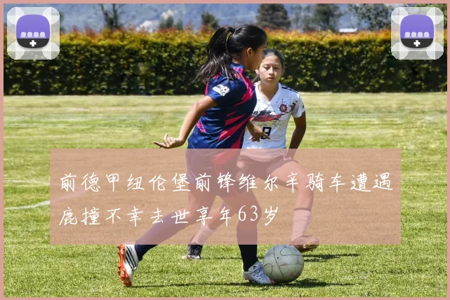 前德甲纽伦堡前锋维尔辛骑车遭遇鹿撞不幸去世享年63岁