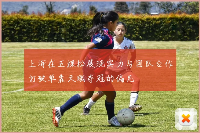 上海在五棵松展现实力与团队合作打破单靠天赋夺冠的偏见