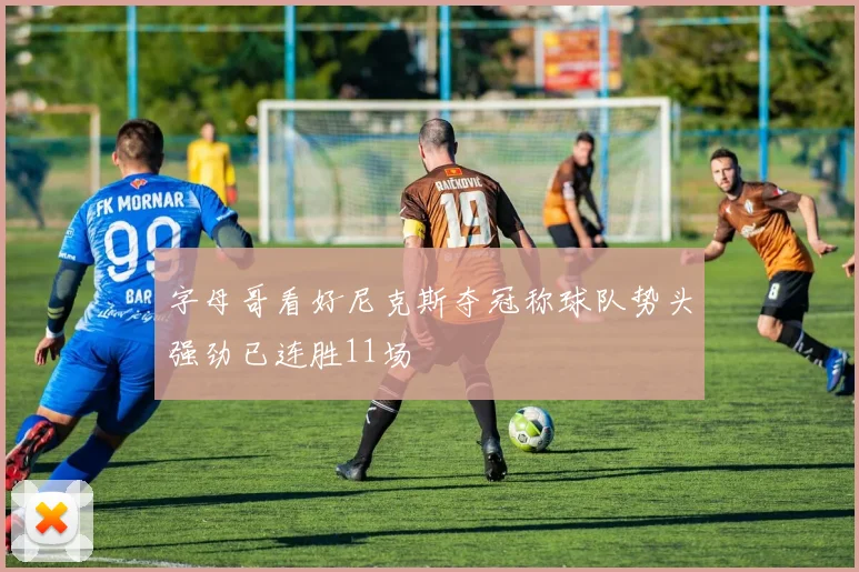 字母哥看好尼克斯夺冠称球队势头强劲已连胜11场